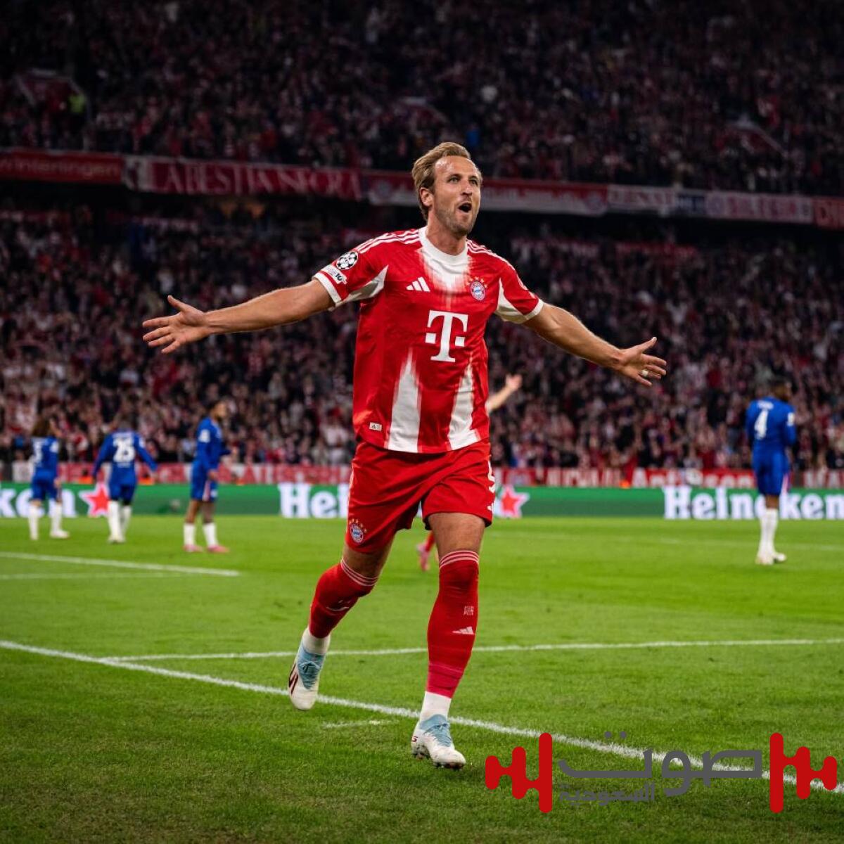 بريمن.. طريق هاري كين لرقم قياسي جديد