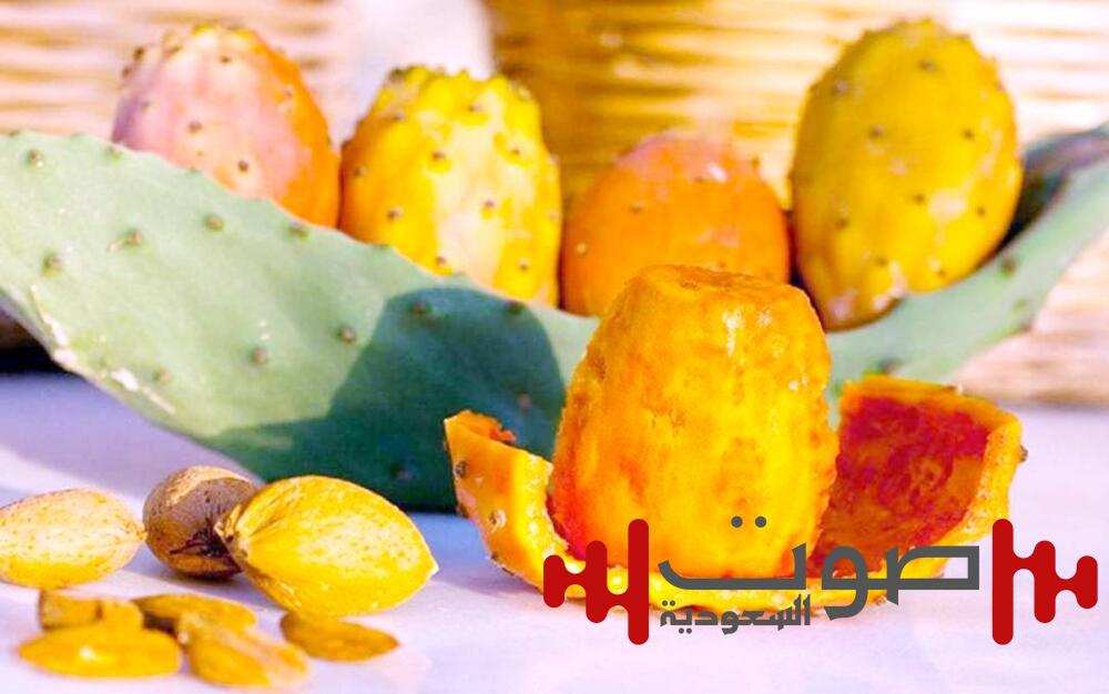 أضرار كثرة التين الشوكي: