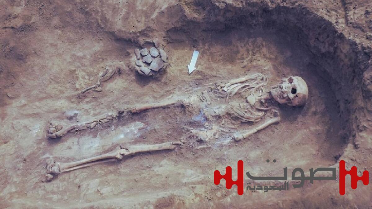 صدمة علمية.. البشر الأوائل لم يكونوا «صيادين»