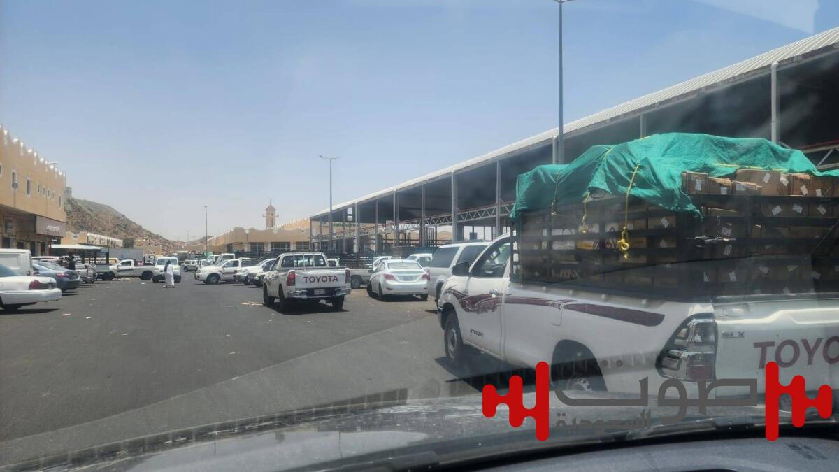 «الزراعة» تكشف لـ«عكاظ»: هذه أسباب تأخر تنزيل المنتجات